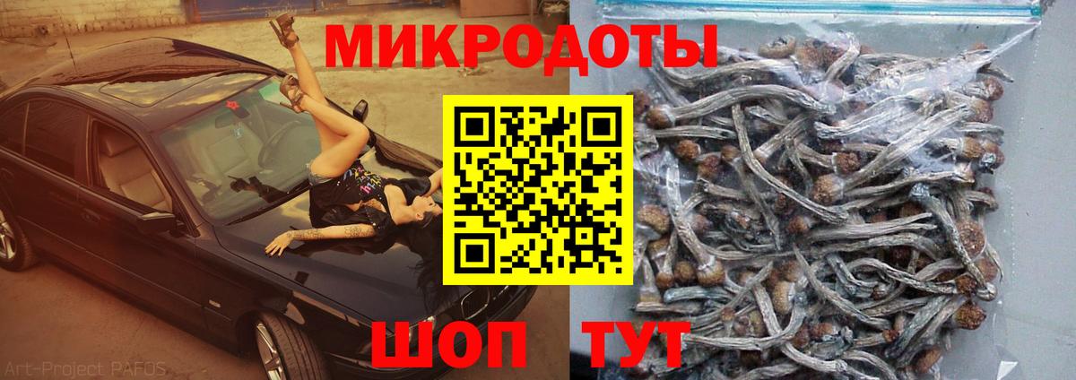 Новоуральск  Псилоцибиновые грибы MAGIC MUSHROOMS  Вход с VPN 