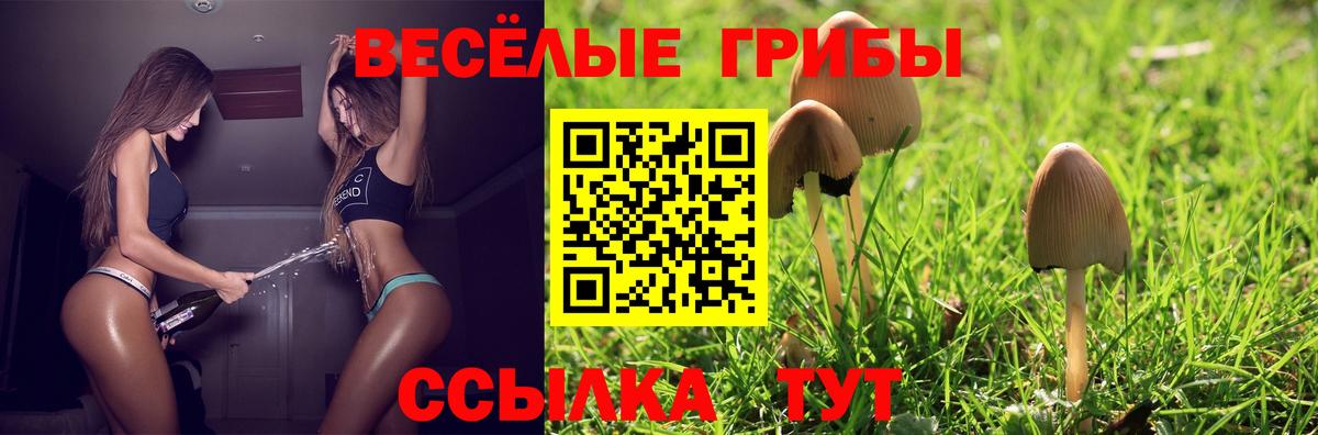 Галлюциногенные грибы MAGIC MUSHROOMS Новоуральск